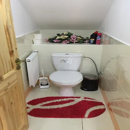 Apartman U Puskina Holiday home Strba