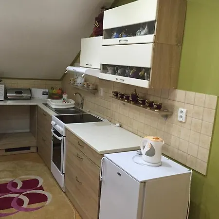 Apartman U Puskina Holiday home Strba