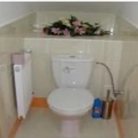 Apartman U Puskina Holiday home Strba