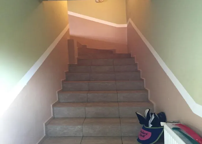 Tatil Evi Apartman U Puskina